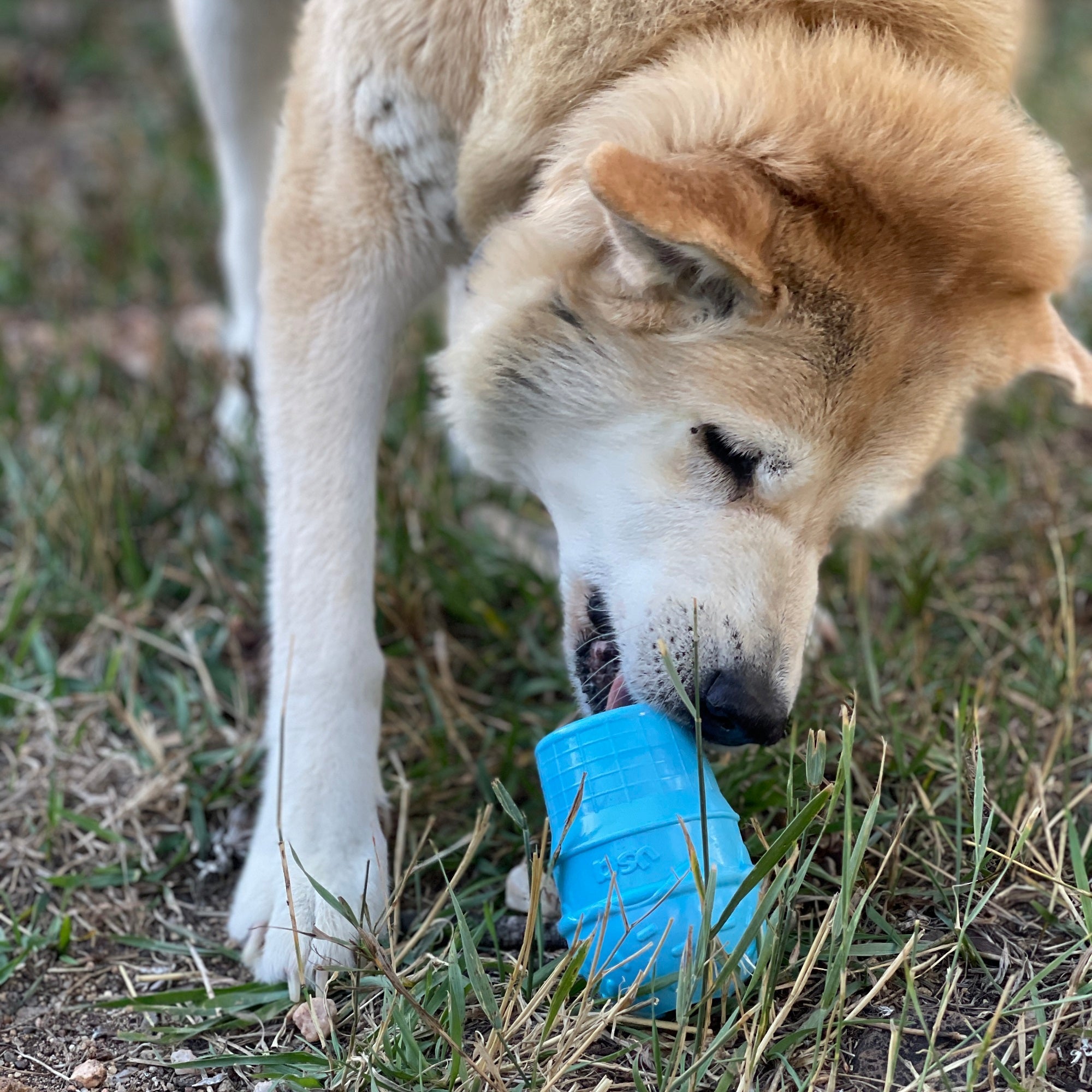 Ice Cream Cone Rubber Dog Chew Toy for Power Chewers | USA Made | SodaPup