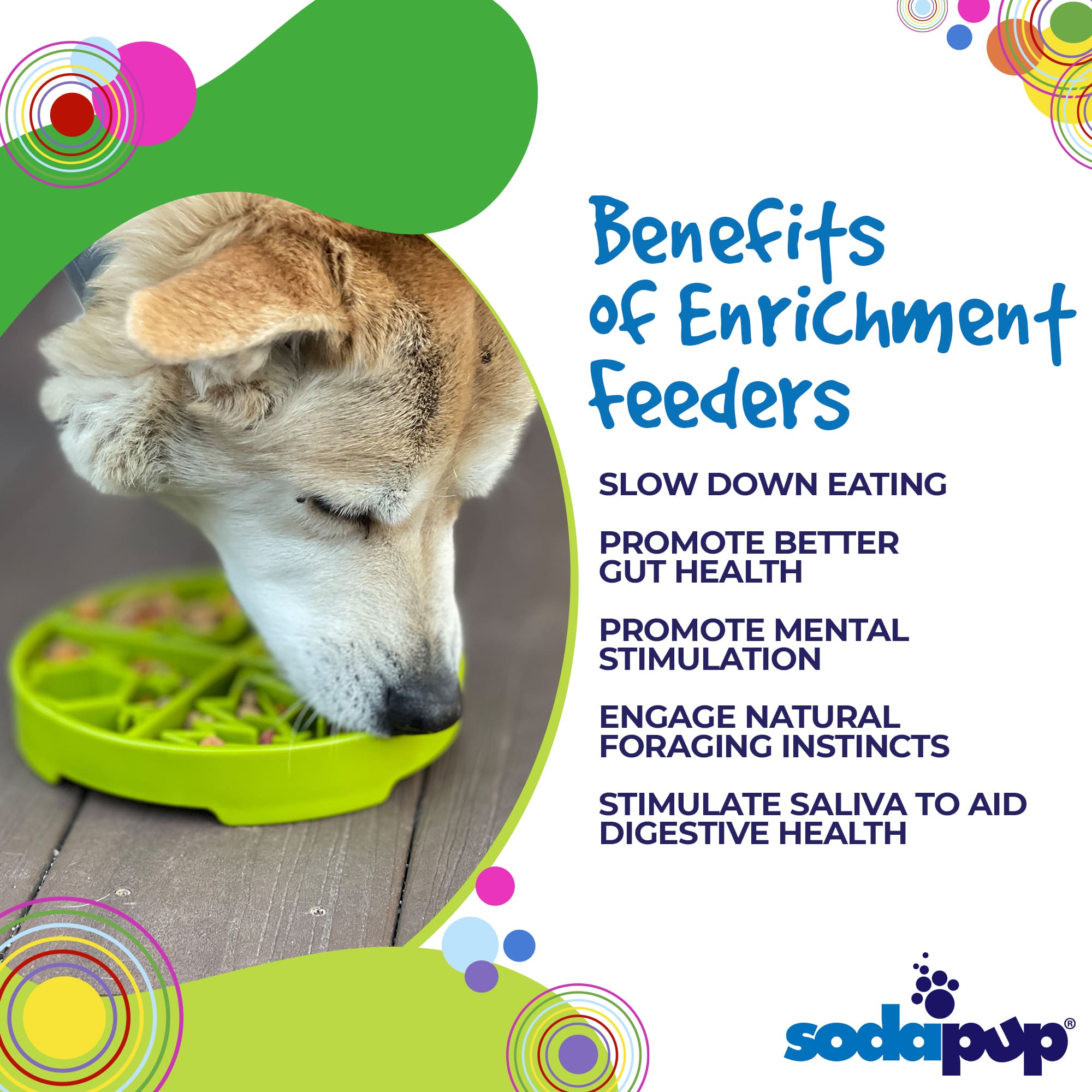 Four Seasons eTray - Shallow Slow Feeder Dog Bowl for Enrichment | USA Made