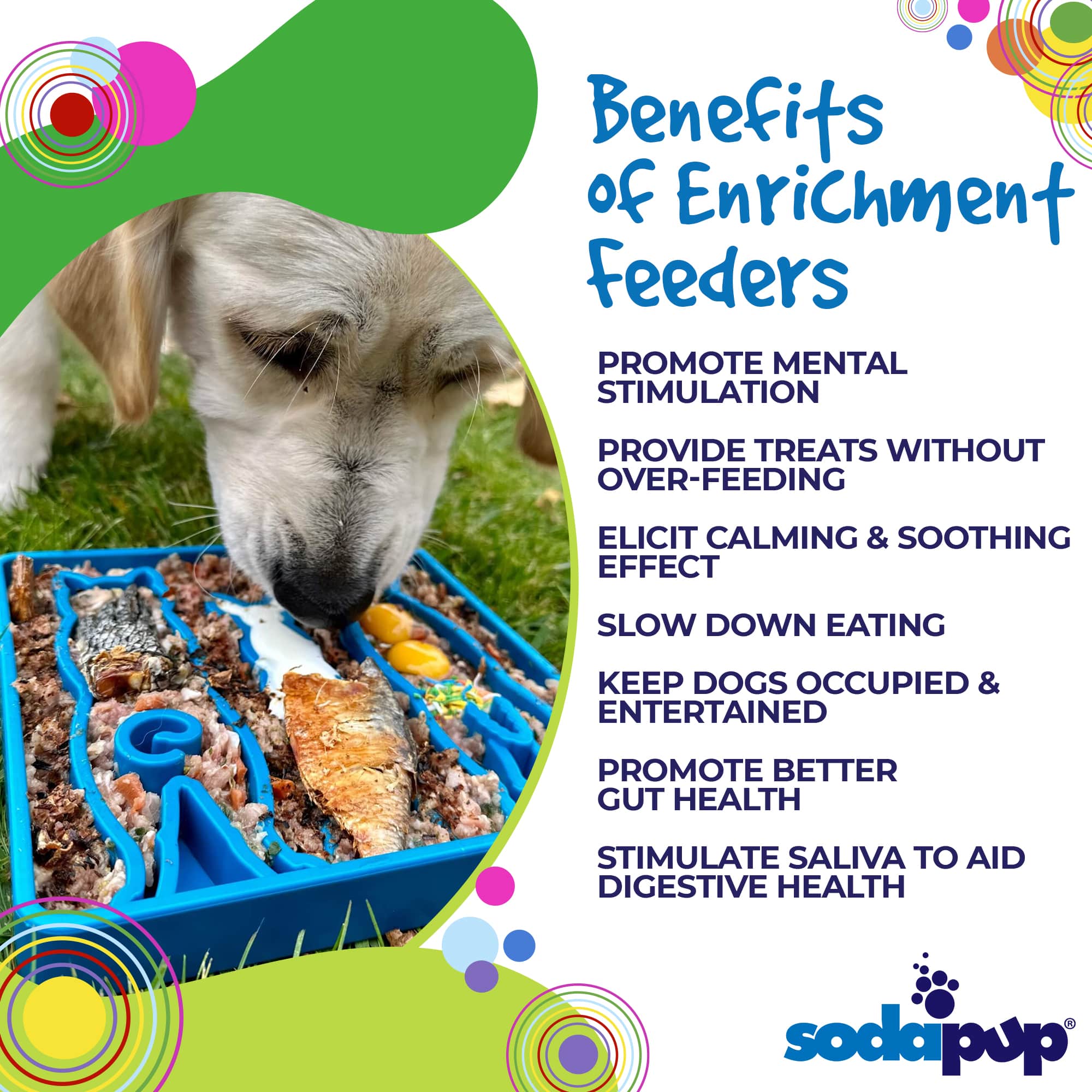 Waiting Dogs eTray - Shallow Slow Feeder Bowl for Enrichment | USA Made