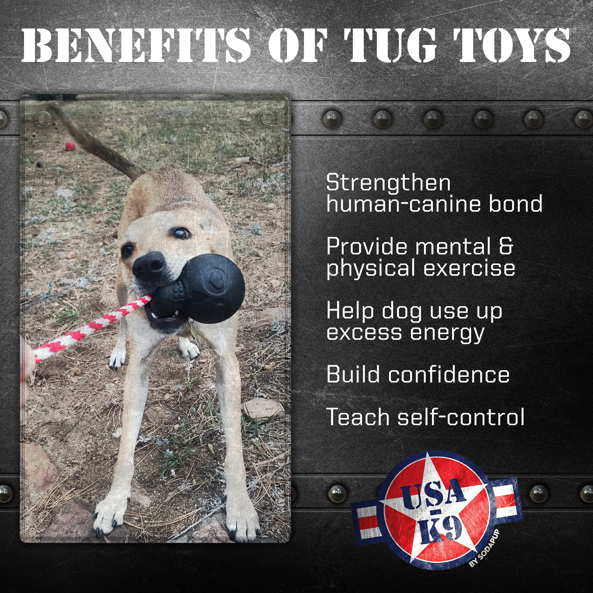USA-K9 Magnum Skull - Black Magnum Rubber Chew Toy for Extreme Chewers | USA Made