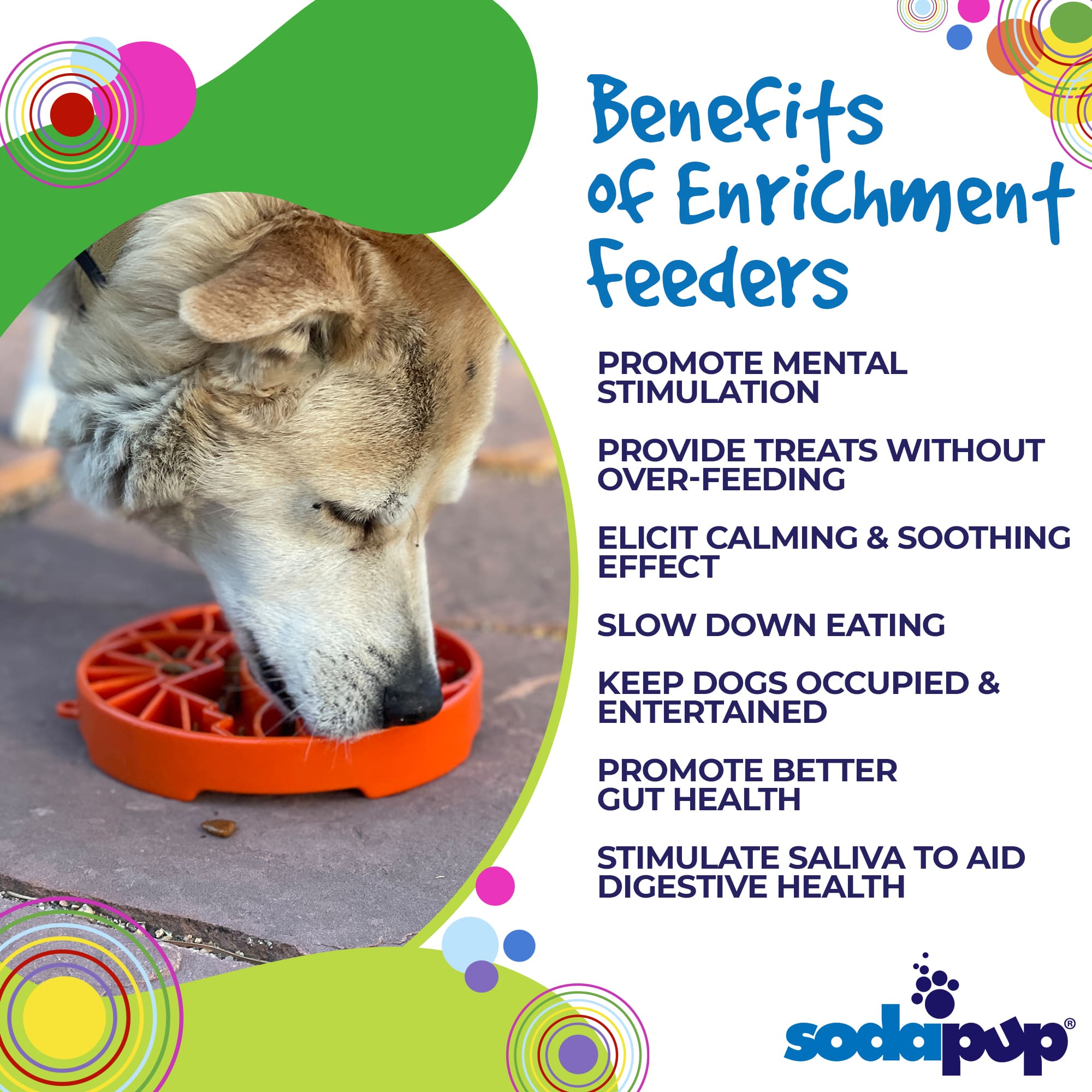Sun and Moon eTray - Shallow Slow Feeder Dog Bowl for Enrichment | USA Made
