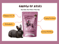 4-Pack Bunny Forage Mix Treat Collection Variety Pack