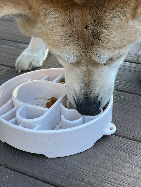 Java eBowl Deep Slow Feeder Dog Bowl for Enrichment | USA Made