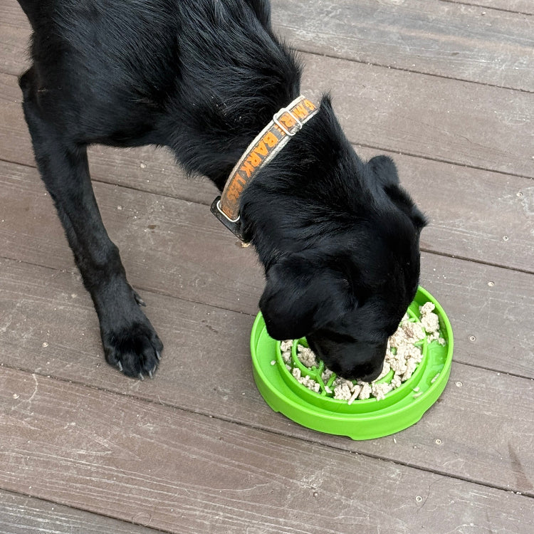 Garden Design eTray - Shallow Slow Feeder Dog Bowl for Enrichment | USA