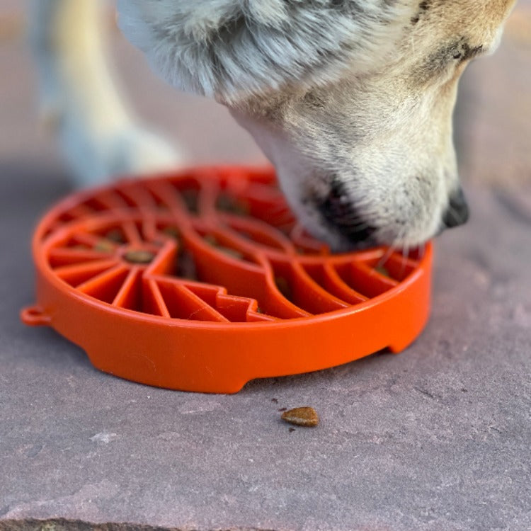 Sun and Moon eTray - Shallow Slow Feeder Dog Bowl for Enrichment | USA Made
