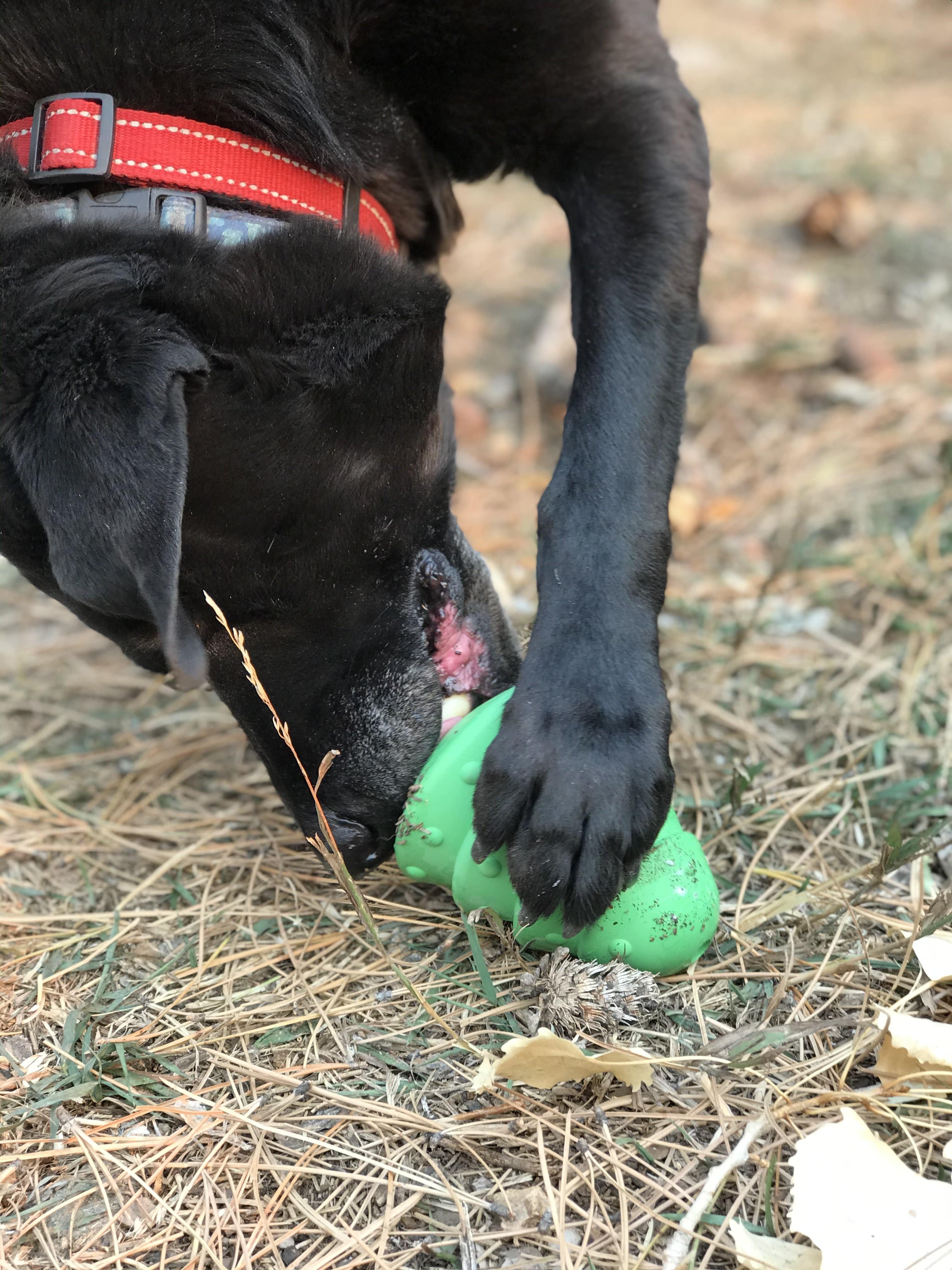 Christmas Tree Dog Toy - Durable Rubber Chew Toy for Large Dogs | USA Made