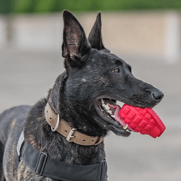 USA-K9 Grenade Shaped eDispenser Durable Dog Chew Toy & Treat Dispenser - Army Green